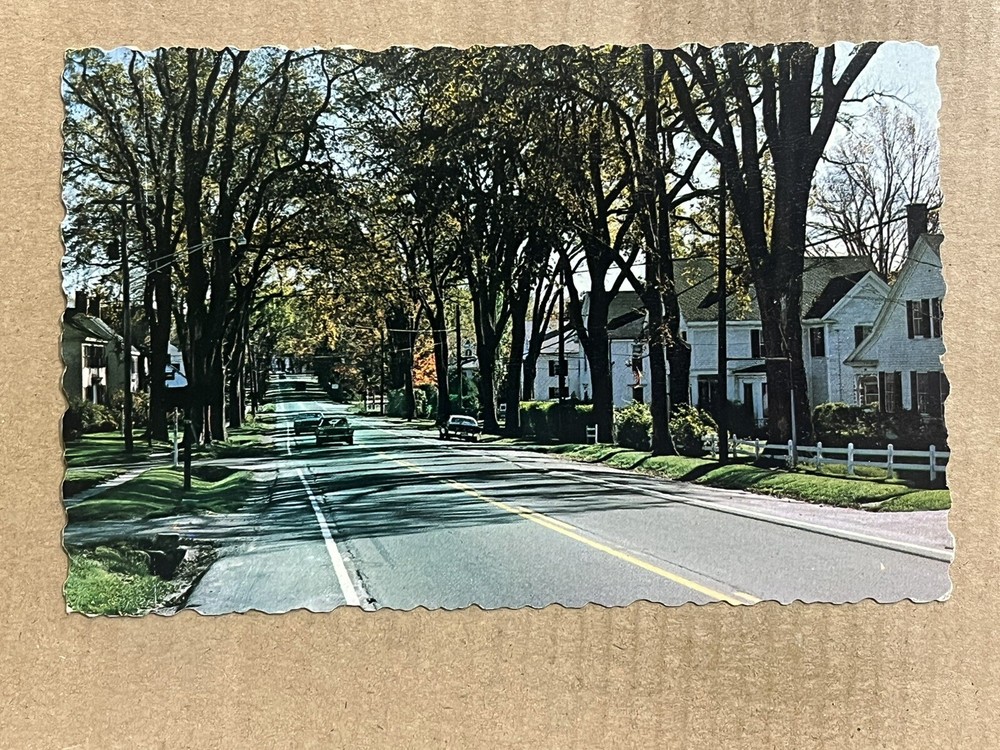 Postcard Thomaston ME Maine Main Street Homes Old Cars Vintage PC