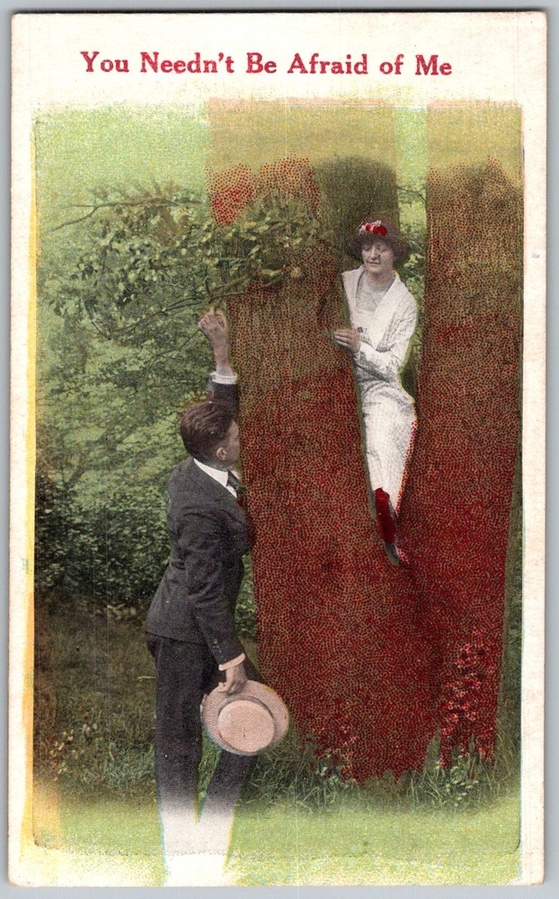 Antique Postcard Couple Tree Novelty 1910s