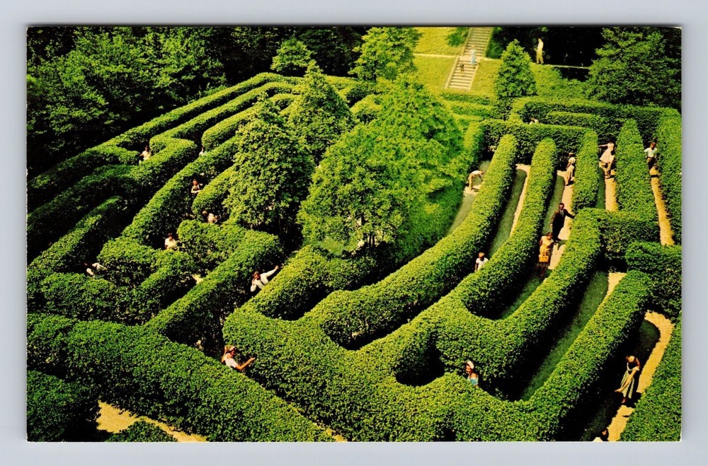 Williamsburg VA- Virginia, The Governor's Palace Maze, Antique, Vintage Postcard