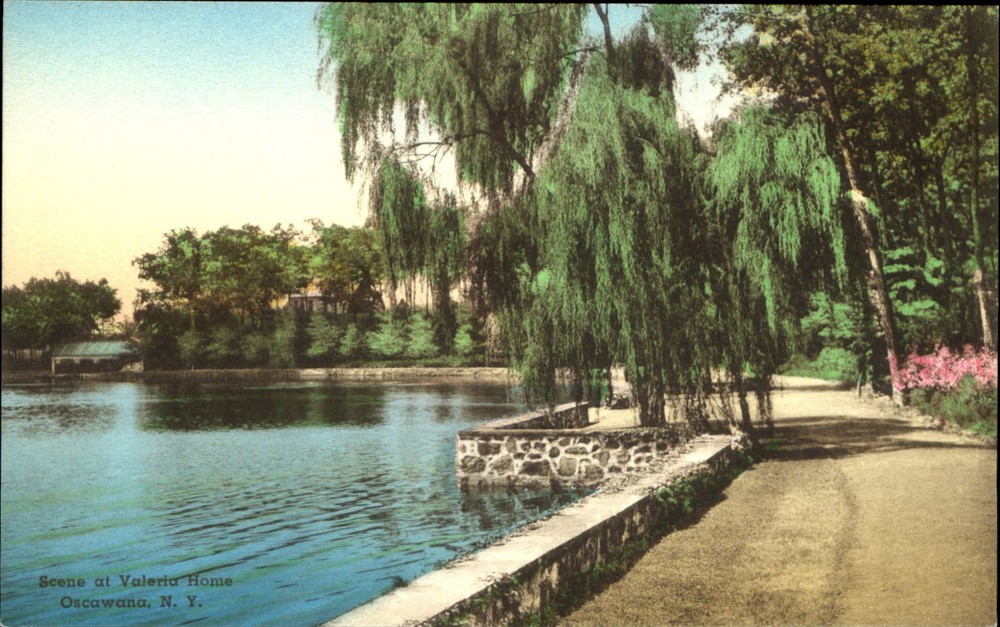 Scene at Valeria Home ~ Oscawana NY New York ~ hand colored Albertype