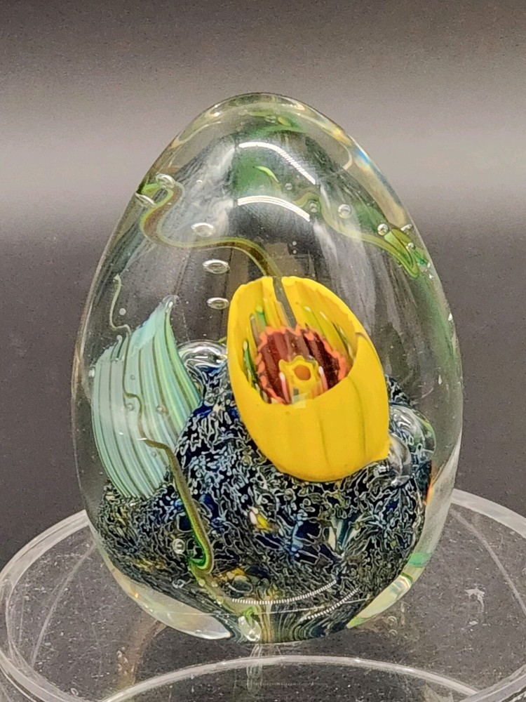 2003 Signed Dan Jurkovich Art Glass Egg Shaped Paperweight Coral Ocean Sea 3