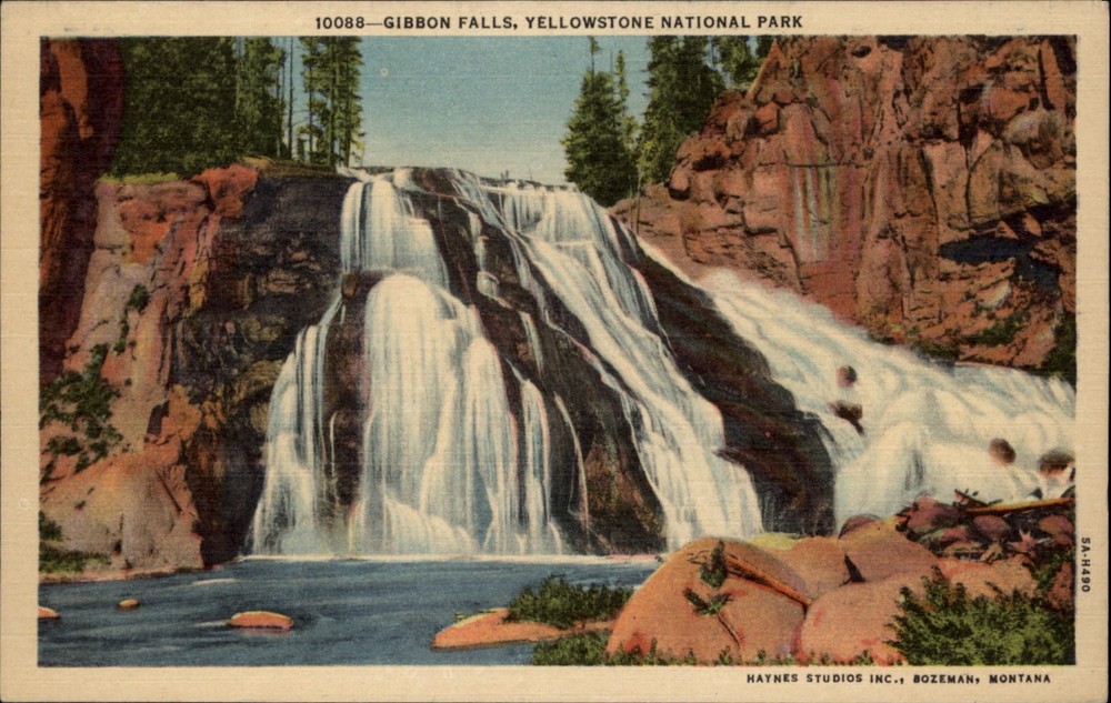Gibbon Falls Yellowstone National Park vintage postcard a316