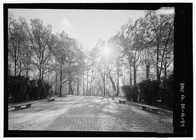 Washington DC Theodore Roosevelt Island 2007 Plaza Path Trees Potomac River