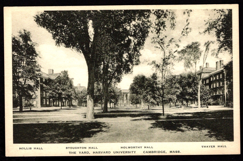 CAMBRIDGE MASS Harvard University THE YARD Albertype Postcard