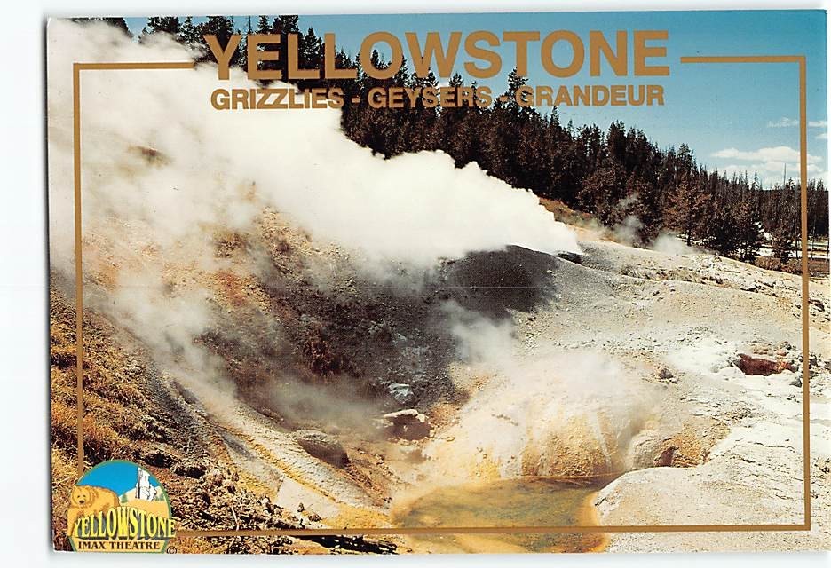 Postcard Grizzlies Geysers Grandeur Yellowstone Wyoming USA