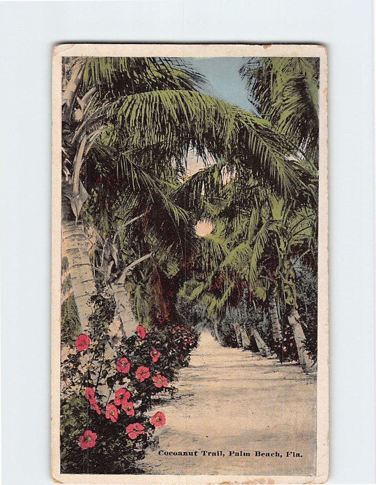 Postcard Coconut Trail Palm Beach Florida USA