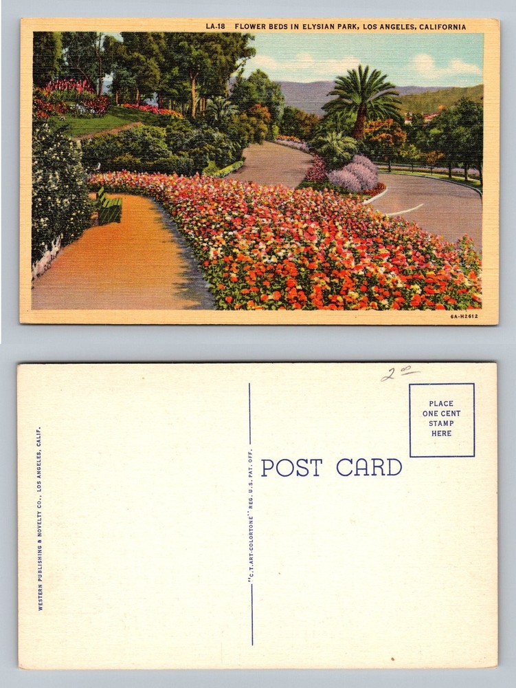 Los Angeles, CA-California, Elysian Park Flower Beds Pathway Vintage Postcard