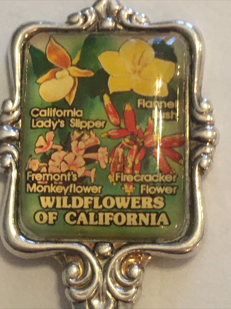 Vintage Souvenir Spoon US Collectible Wildflowers Of California