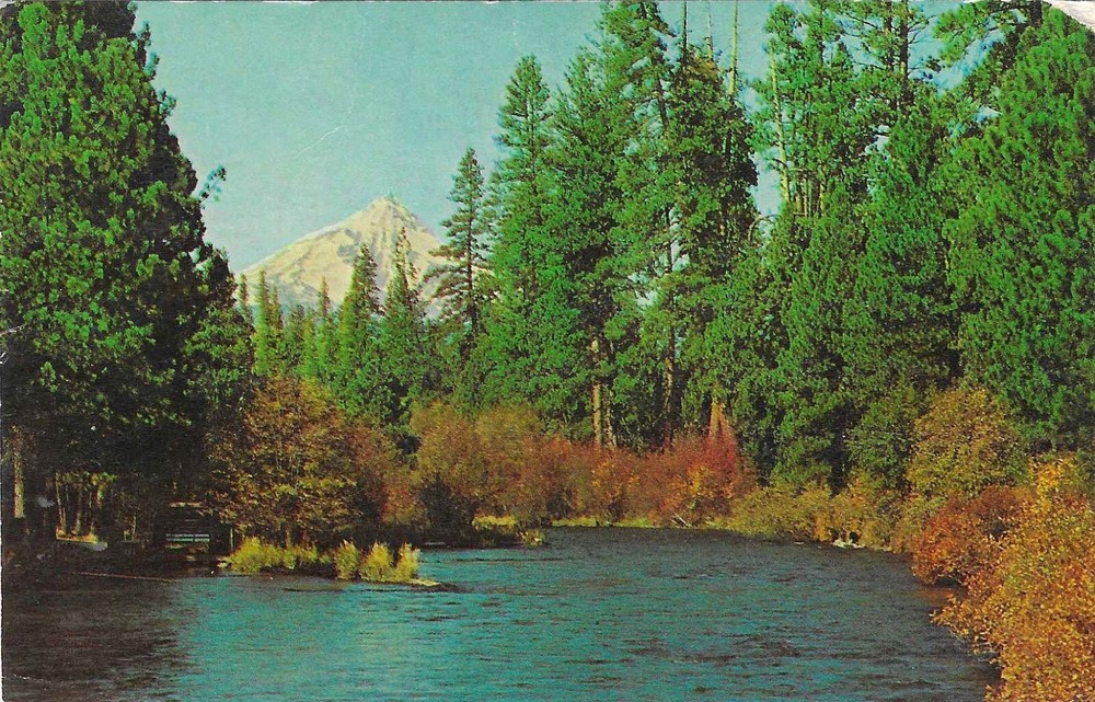 Vintage Oregon Chrome Postcard Mt Jefferson and Metolius River Central