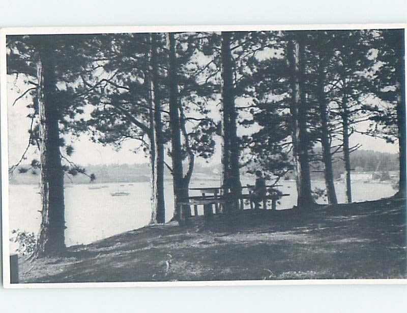 1940's NATURE SCENE Mount Desert Island - Near Bar Harbor & Ellsworth ME AD3567