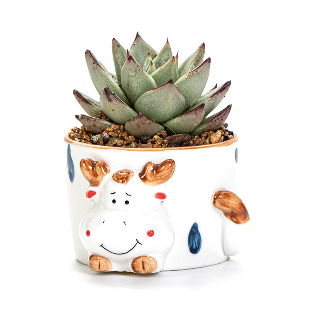 Plant Pot Cute Non-fade Multi-color Vertical Garden Pots Desk Decor