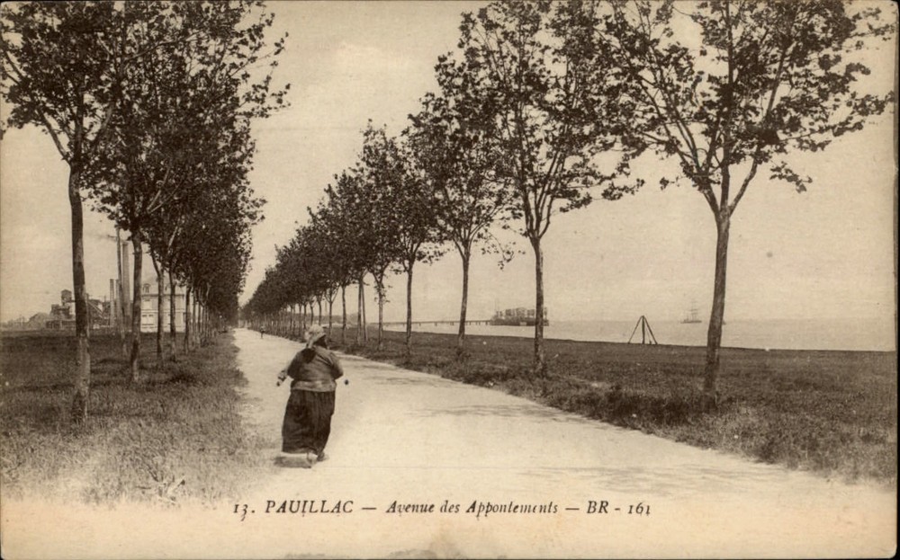 Avenue des Appointements Pauillac Gironde France vintage postcard s905