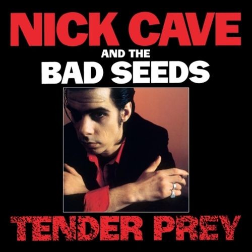 Nick Cave & The Bad Seeds Tender Prey New Cd