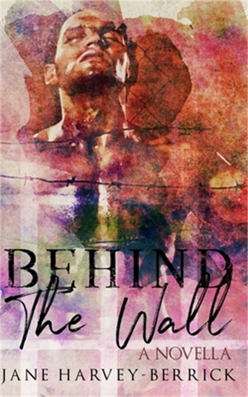 Behind the Wall: A Novella (Paperback or Softback)