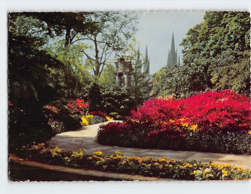 Postcard Im Kurpark Wiesbaden Germany