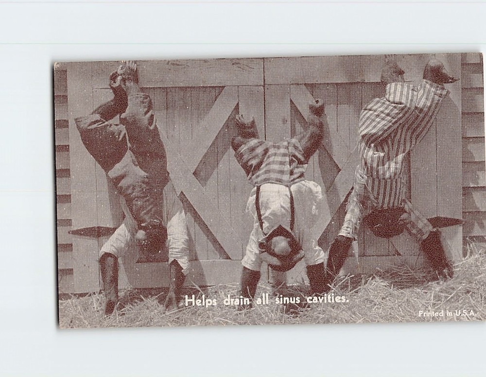 Postcard Chimpanzee Monkey Joke/Humor Anthropomorphic Animal Comic