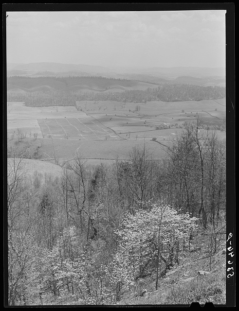 Photo:Shenandoah Valley Virginia 1940 Spring Landscape Farmland Mountains