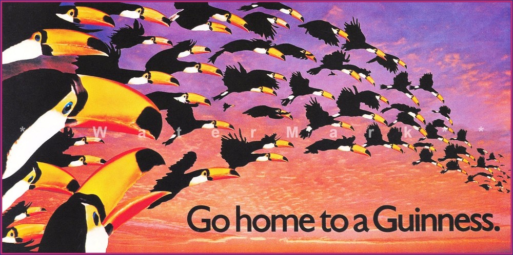 Vintage Toucans Go Home Guinness Beer Ad Poster Ireland Retro Print  