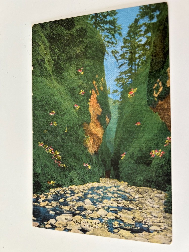 Oneonta Gorge on the Columbia River Highway Oregon Postcard