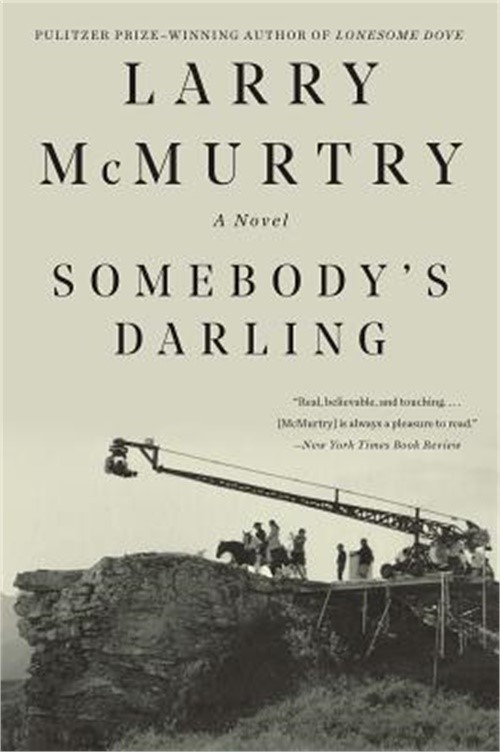 Somebody's Darling (Paperback or Softback)
