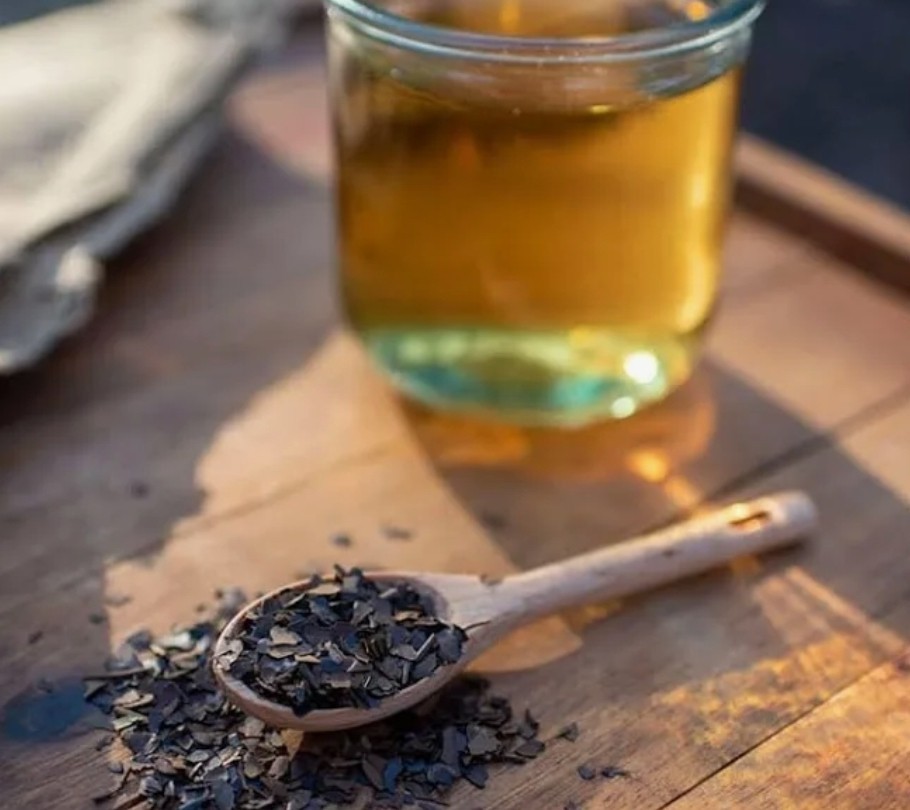 Organic Yaupon Holly Tea - Light Roast - 2 oz.(Makes GALLONS)