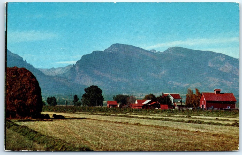 Postcard - Bitter Root Valley and Mountains - Montana