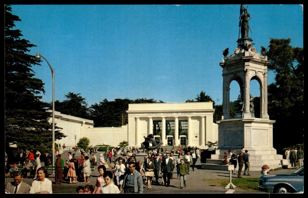 San Francisco CA California Academy of Sciences Golden Gate Park Postcard-image
