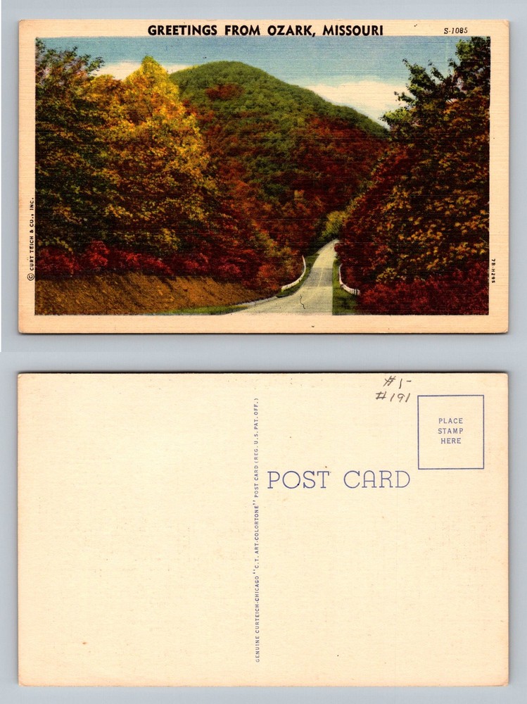 Ozark, MO-Missouri, Greetings Scenic Mountain Road Fall Foliage Vintage Postcard