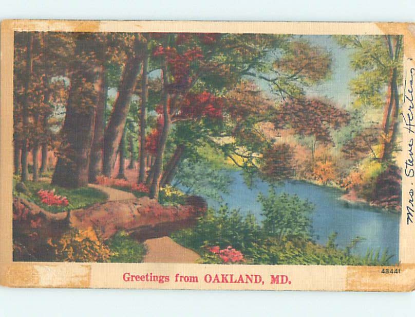 Linen NATURE SCENE Oakland Maine ME m/09 AD6818