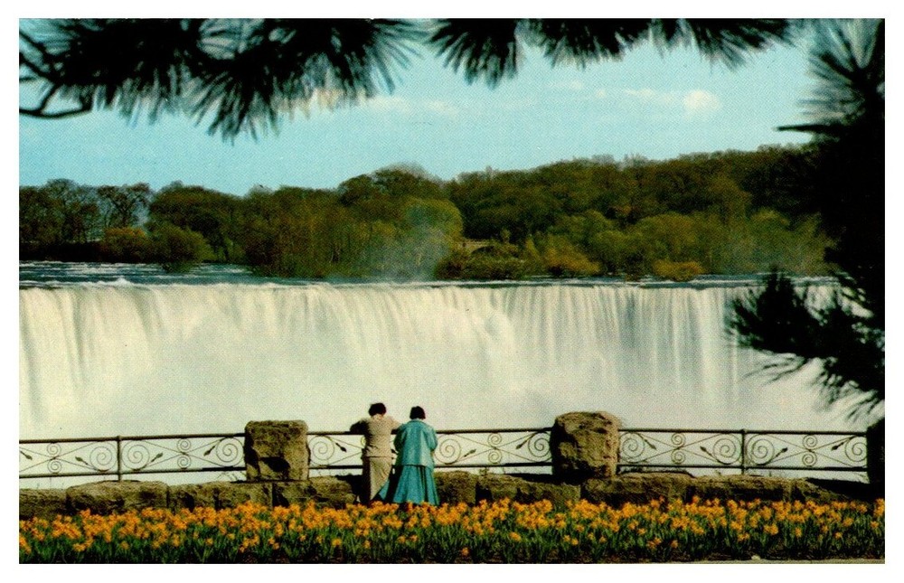 1950s View of Falls from Victoria Park Niagara Falls New York Vintage Postcard