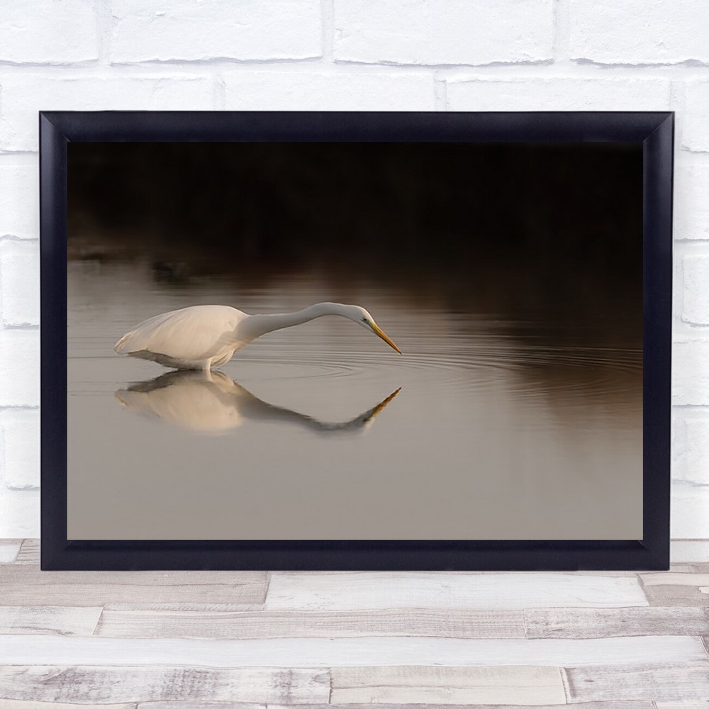 Search Mode Nature Animals Wildlife Bird Birds Reflection Lake Water Art Print