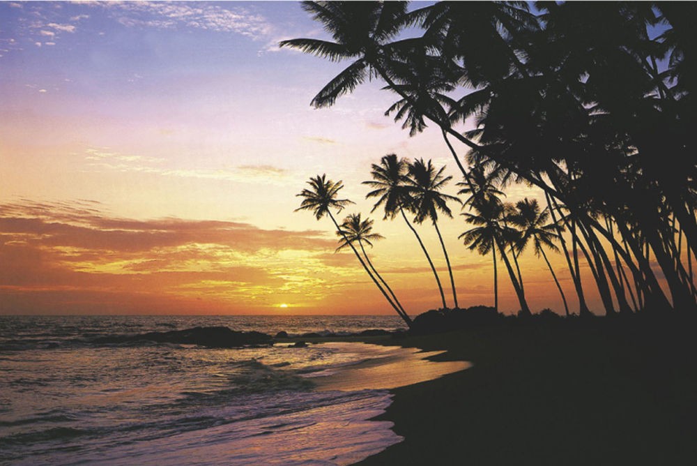 Poster Studio B - Maldive Evening Beach Ocean Sea View 24x36