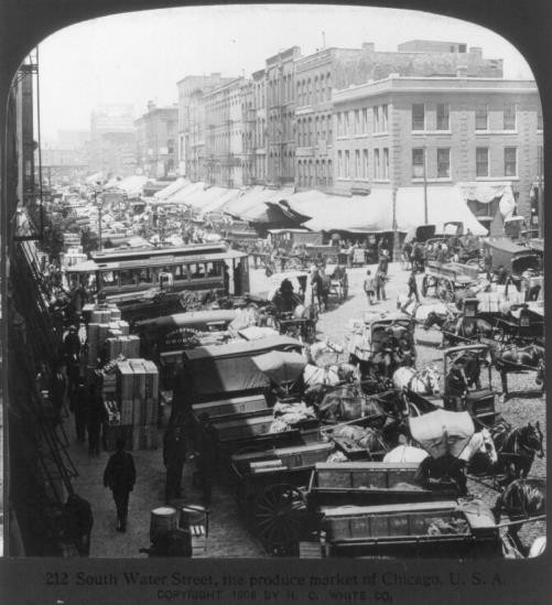Produce Market,South Water Street,Chicago,Illinois,IL,c1906,Horse Drawn Wagons