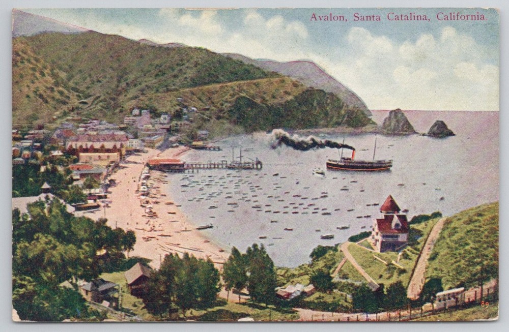 Vintage Avalon Santa Catalina Island CA Postcard Steamship Bay View c.1910s