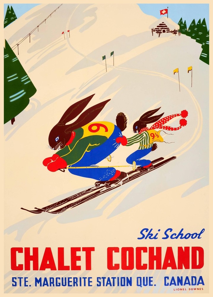 Decorative POSTER.Home room Interior art design.Chalet Cochand Ski school.7088