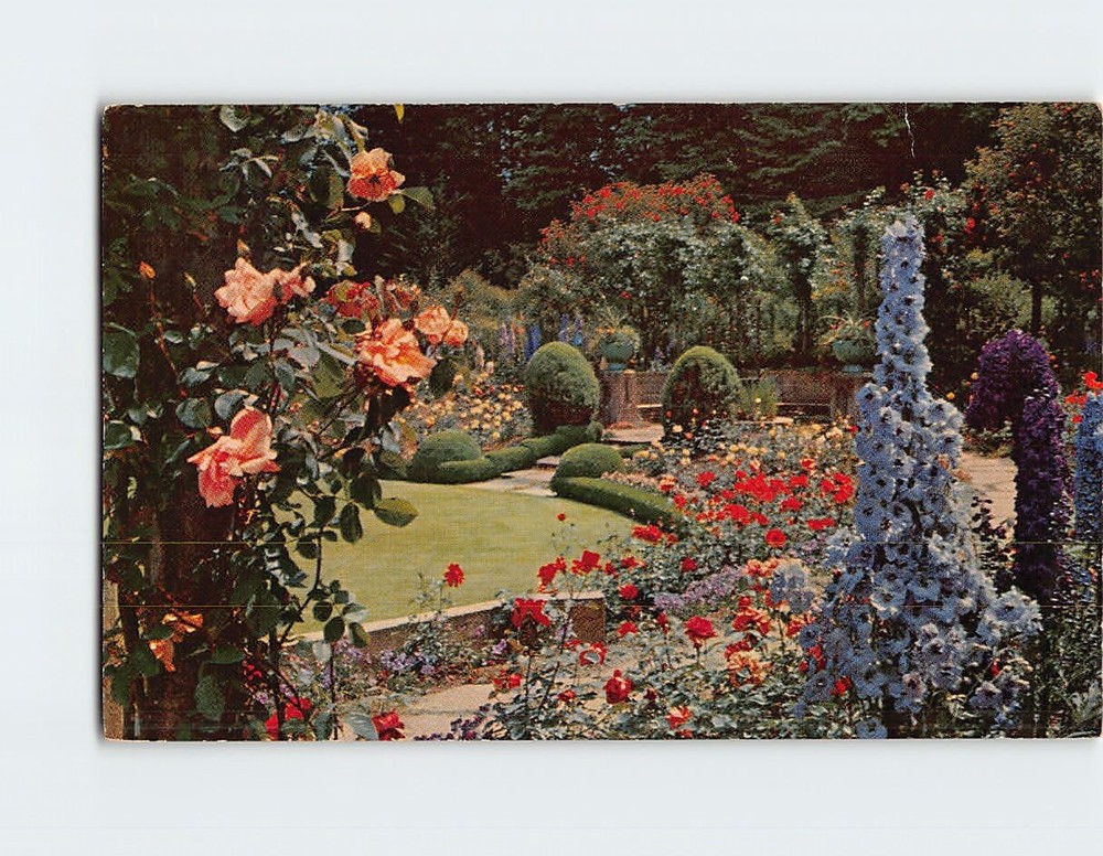 Postcard Delphinium Time Butchart Gardens Victoria BC Canada