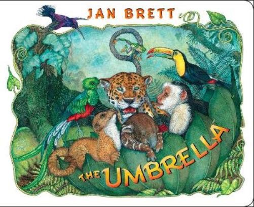 Jan Brett The Umbrella (Board Book)Another great item from Rarewaves USA | Free delivery!
