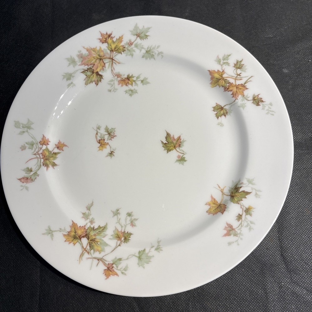 Haviland Limoges Autumn leaf 9 3/4” Dinner Plate