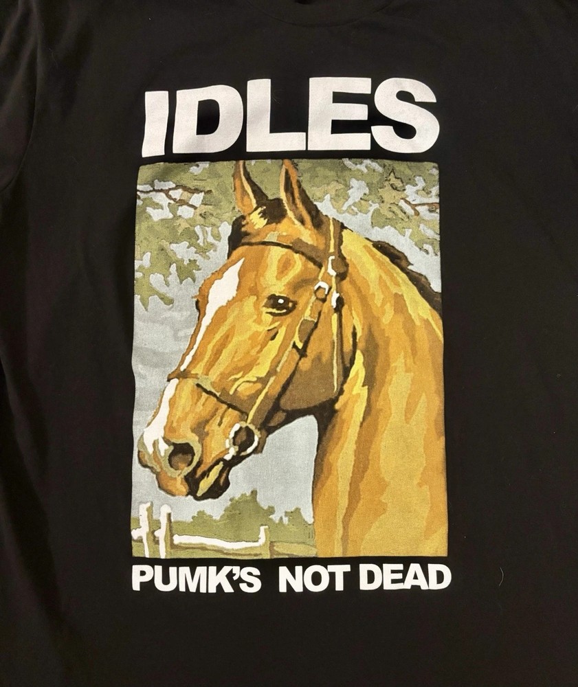 Idles Band T Shirt Mens Black Horse Pumk’s Not Dead Punk
