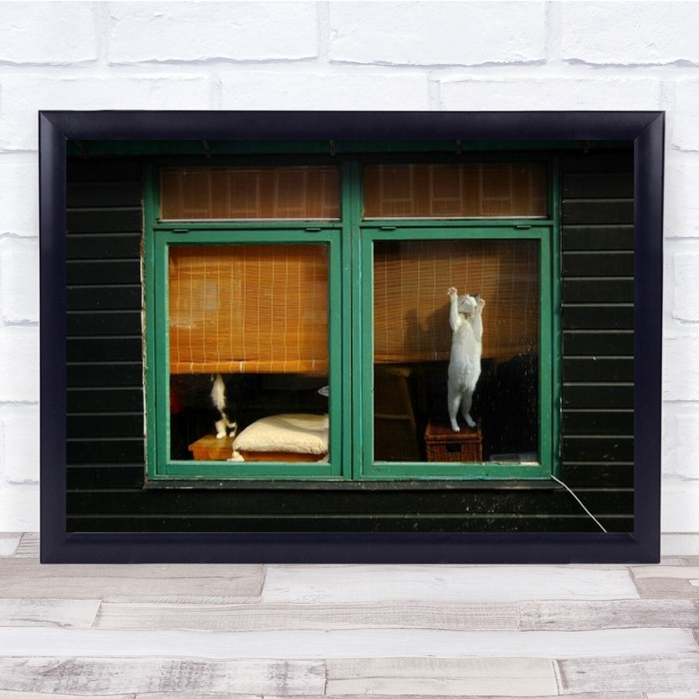 Different Ways Fun Funny Humor Humour Escape Cat Cats Window Wall Art Print