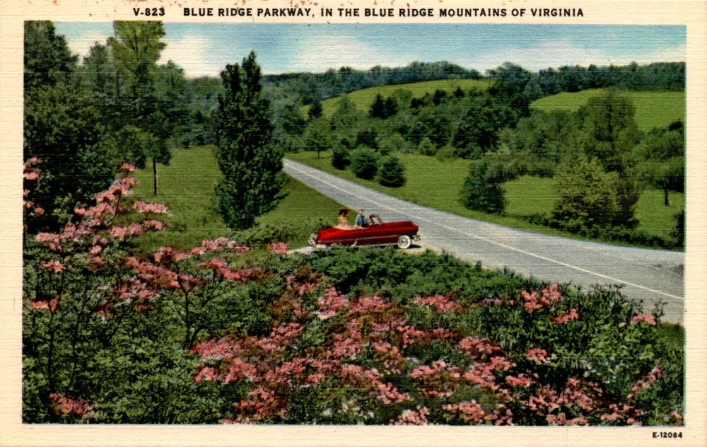 BLUE RIDGE PARKWAY, BLUE RIDGE MOUNTAINS, VIRGINIA, ASHEVILLE Postcard