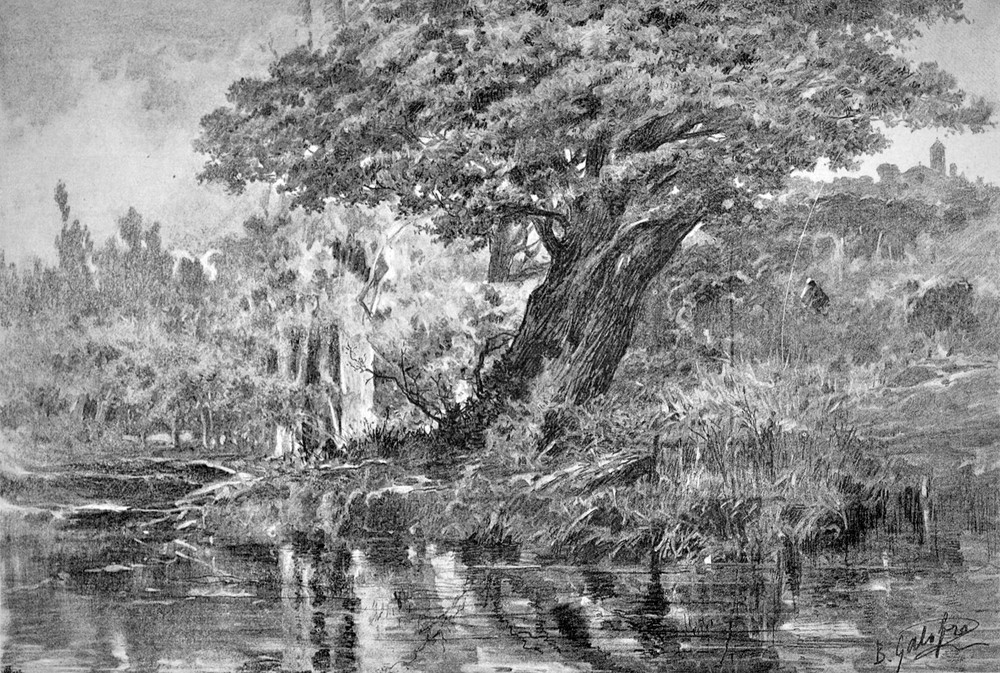 B & W Nature country Decorative painting Poster. Home Graphic Art Design 3997