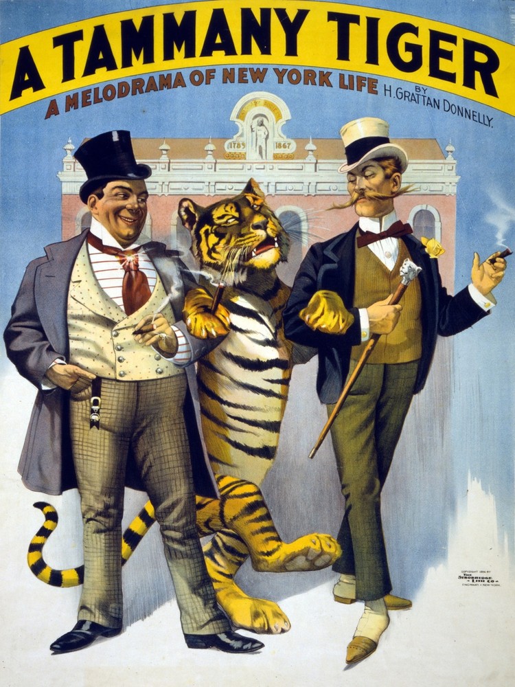 A Tammany Tiger Decor Poster. Fine Graphic Art Wall Interior Design 2612