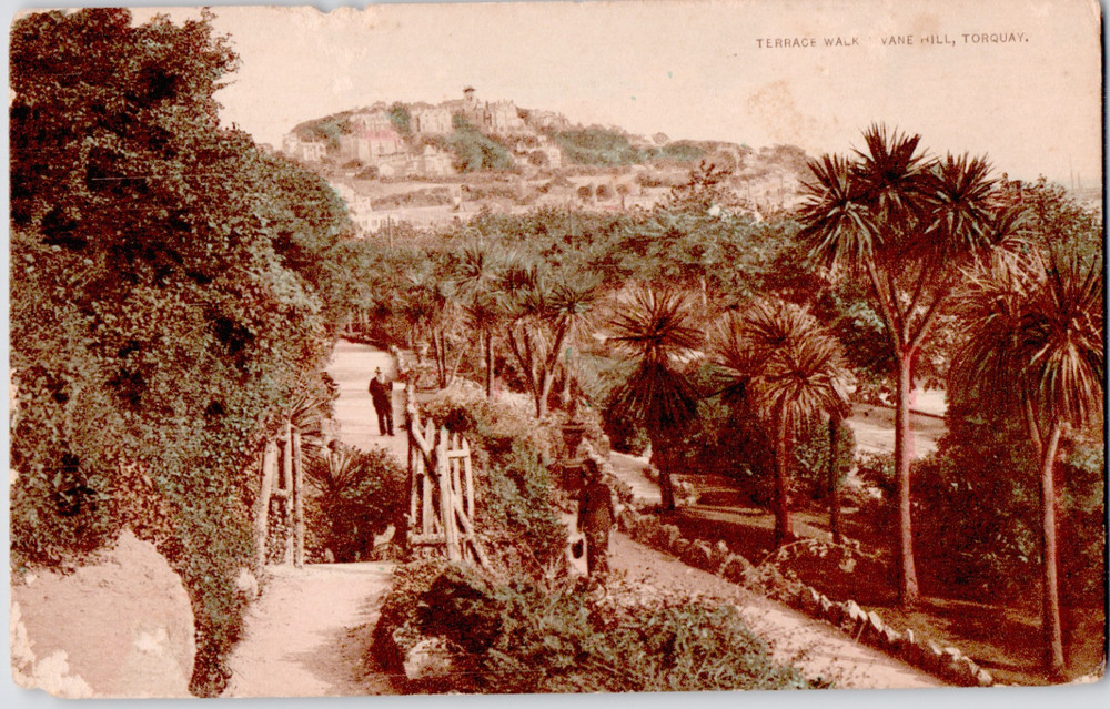 UK England Devon Torquay Vane Hill Terrace Walk Palm Trees Pathway 1910 Postcard