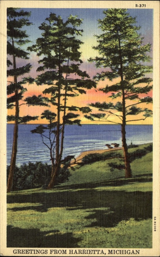 Greetings from Harrietta Michigan MI~sunrise scene~Bear Lake~1930s