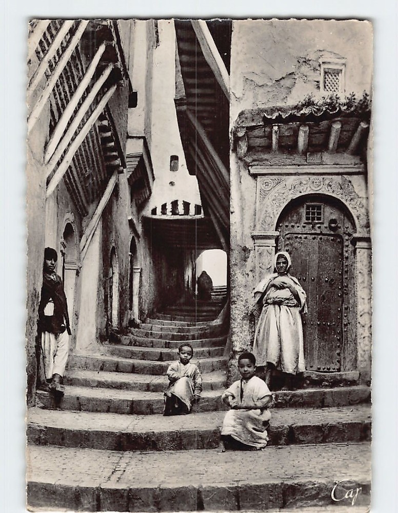 Postcard Rue de Chameau Algiers Algeria