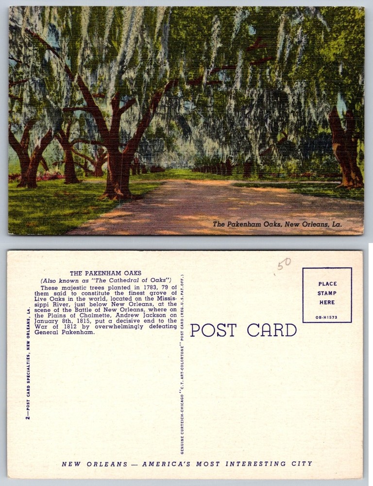 Pakenham Oaks New Orleans LA Linen Postcard Curteich Cathedral of Oaks