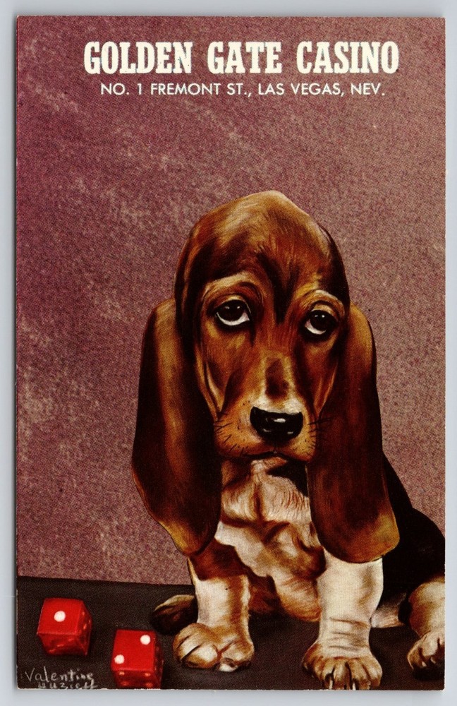 Golden Gate Casino Las Vegas Basset Hound Dog Dice Curteichcolor Postcard