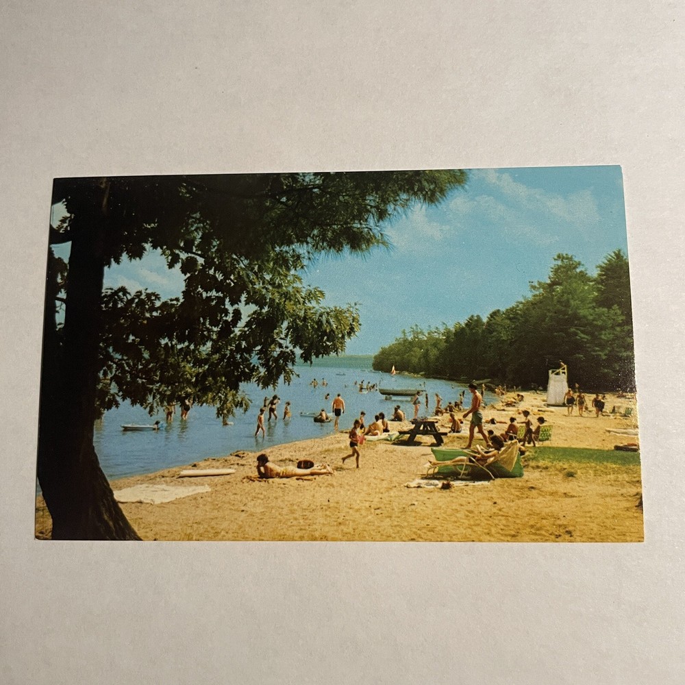 Interlochen MI-Michigan, Beach Scene Interlochen State Park, Vintage Postcard