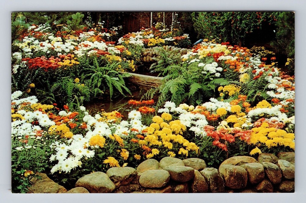 Pittsburgh PA-Pennsylvania Phipps Conservatory Fall Flower Show Vintage Postcard